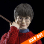 HARRY POTTER (CASUAL WEAR)